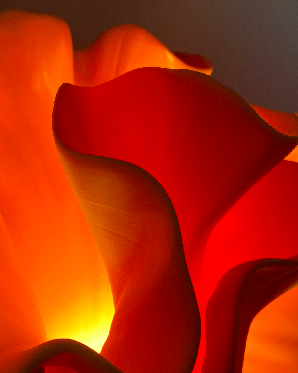 Coral